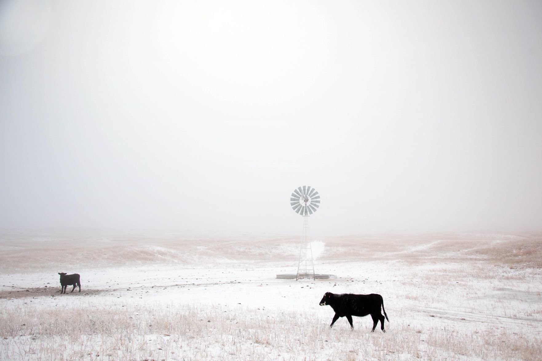 Best of Nebraska